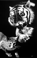 cats etching
